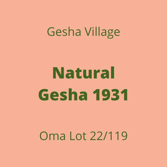 GESHA VILLAGE NATURAL GESHA 1931 OMA 22/119 15KG
