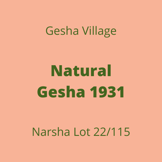 GESHA VILLAGE NATURAL GESHA 1931 NARSHA 22/115 15KG