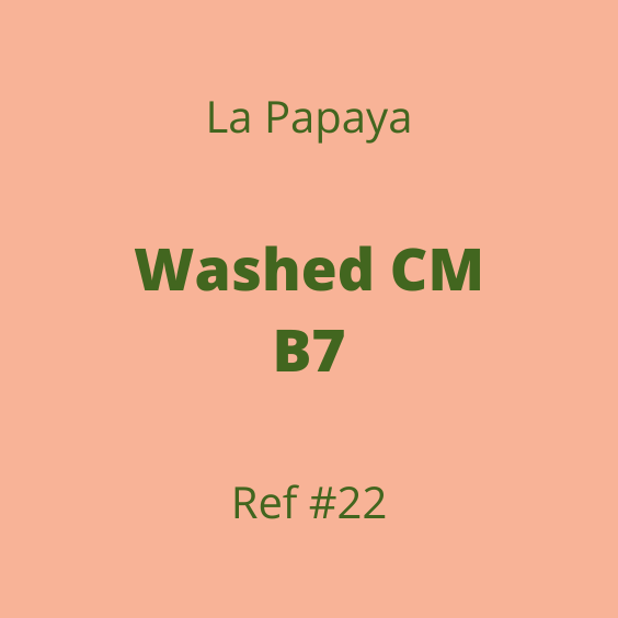 LA PAPAYA WASHED CM B7 REF#22 25KG