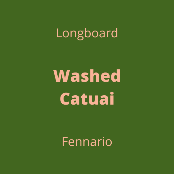 LONGBOARD WASHED CATUAI FENNARIO