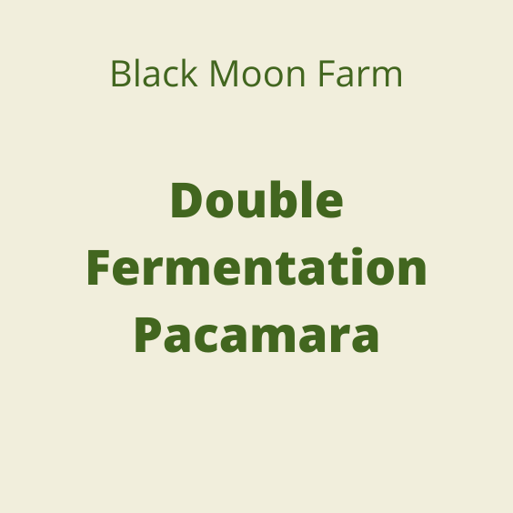 BLACK MOON DOUBLE FERMENTATION PACAMARA