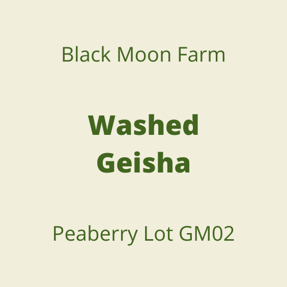 BLACK MOON WASHED GEISHA PEABERRY LOTGM02