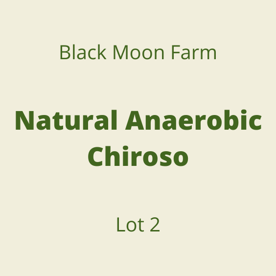 BLACK MOON NATURAL ANAEROBIC CHIROSO LOT2
