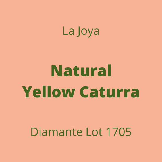 LA JOYA NATURAL YELLOW CATURRA DIAMANTE LOT1705