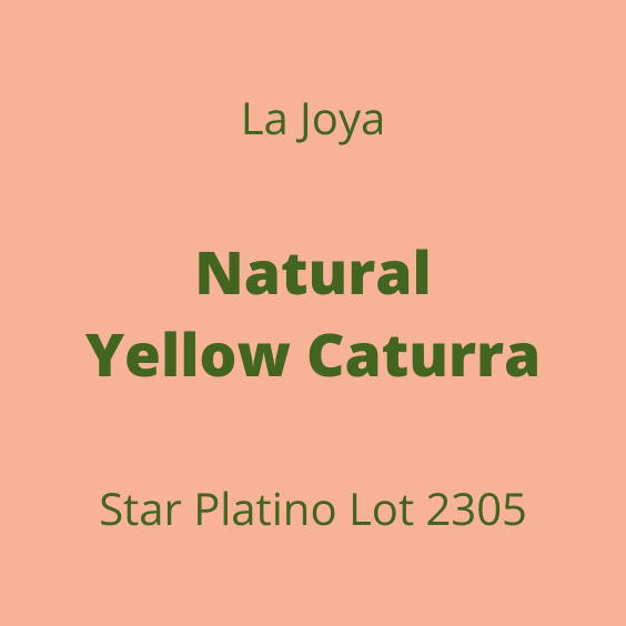 LA JOYA NATURAL YELLOW CATURRA STAR PLATINO LOT2305