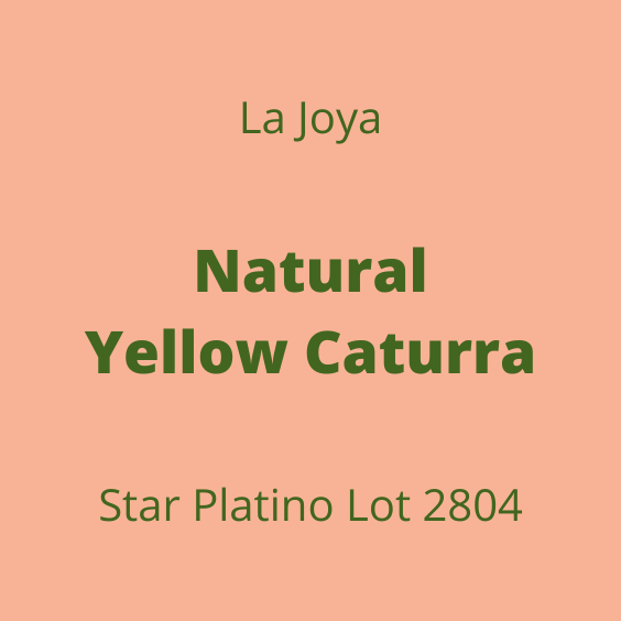 LA JOYA NATURAL YELLOW CATURRA STAR PLATINO LOT2804