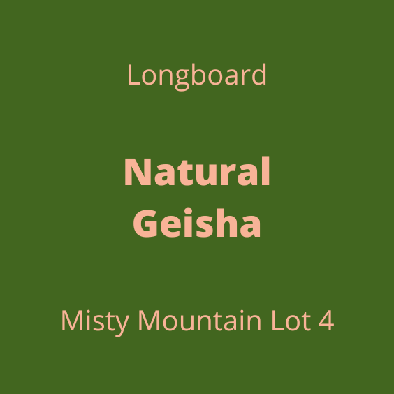LONGBOARD NATURAL GEISHA MISTY MOUNTAIN LOT4