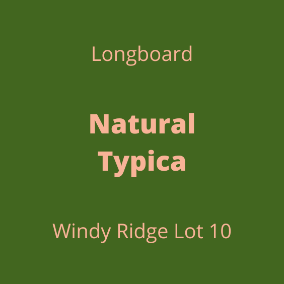 LONGBOARD NATURAL TYPICA WINDY RIDGE LOT10