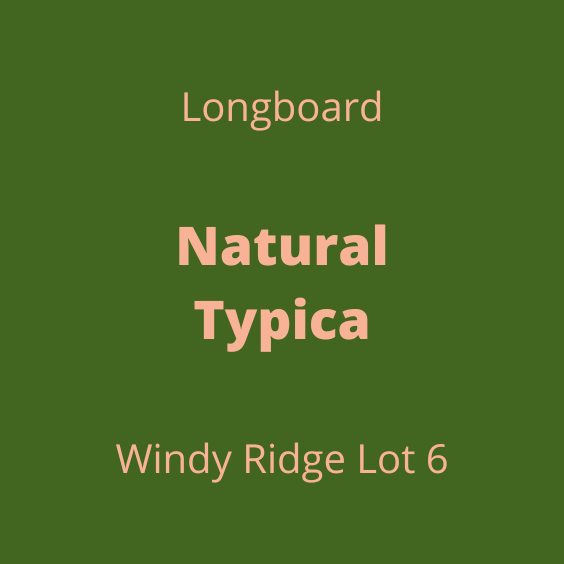 LONGBOARD NATURAL TYPICA WINDY RIDGE LOT6