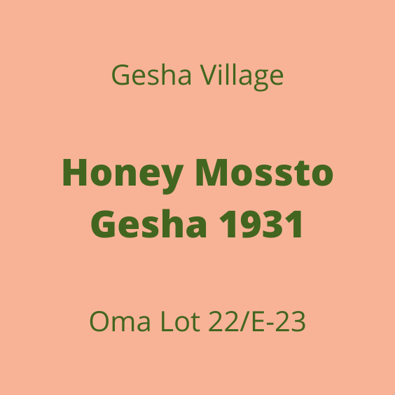 GESHA VILLAGE HONEY MOSSTO GESHA 1931 OMA 22/E-23