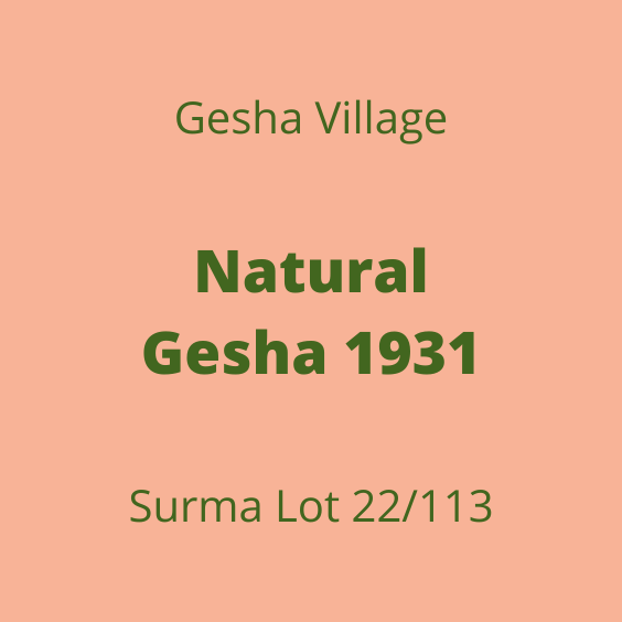 GESHA VILLAGE NATURAL GESHA 1931 SURMA 22/113 15KG