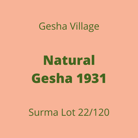 GESHA VILLAGE NATURAL GESHA 1931 SURMA 22/120 15KG