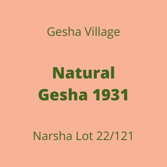 GESHA VILLAGE NATURAL GESHA 1931 NARSHA 22/121 15KG