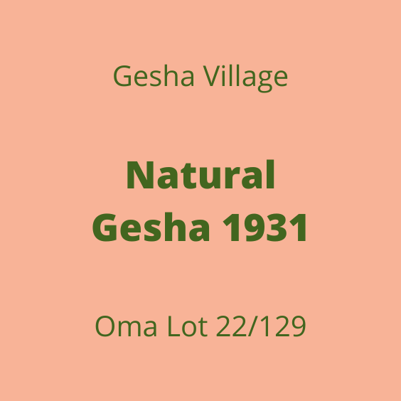 GESHA VILLAGE NATURAL GESHA 1931 OMA 22/129 15KG