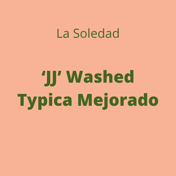 LA SOLEDAD JJ WASHED TYPICA MEJORADO