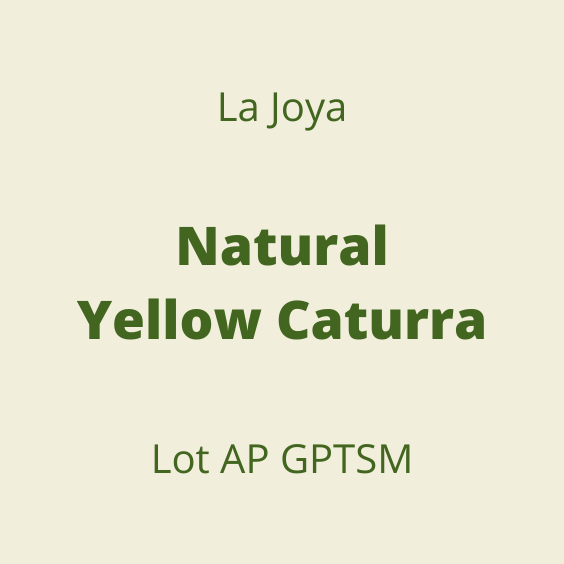 LA JOYA [2022] Forward Specialty Green Coffee Traders