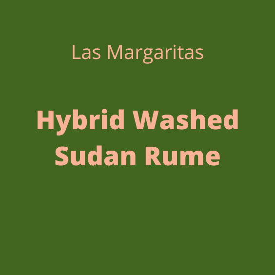 LAS MARGARITAS HYBRID WASHED SUDAN RUME