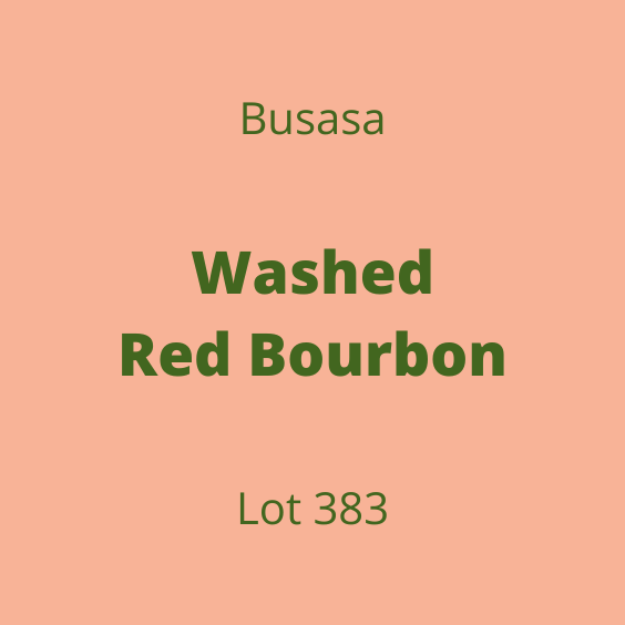 BUSASA WASHED RED BOURBON LOT383 60KG