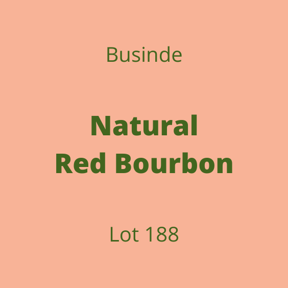 BUSINDE NATURAL RED BOURBON LOT188 60KG