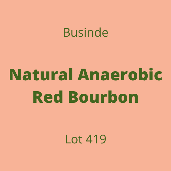 BUSINDE NATURAL ANAEROBIC RED BOURBON LOT419 60KG