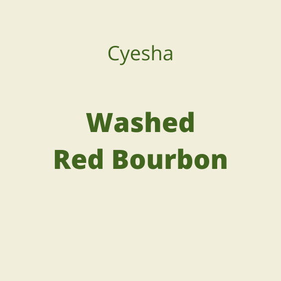 CYESHA WASHED RED BOURBON 60KG