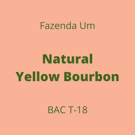 FAZENDA UM NATURAL YELLOW BOURBON BACT18 30KG