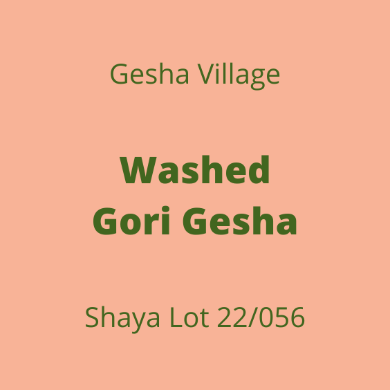 GESHA VILLAGE [2022]
