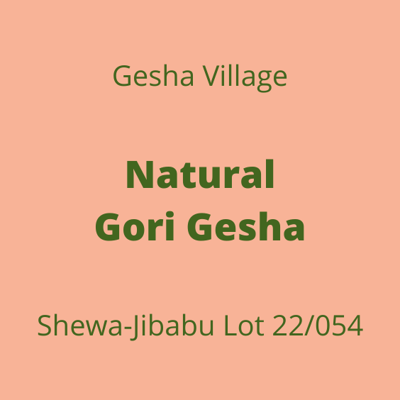 GESHA VILLAGE NATURAL GORI GESHA SHEWA-JIBABU 22/054 30KG