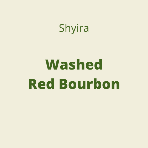 SHYIRA WASHED RED BOURBON 60KG