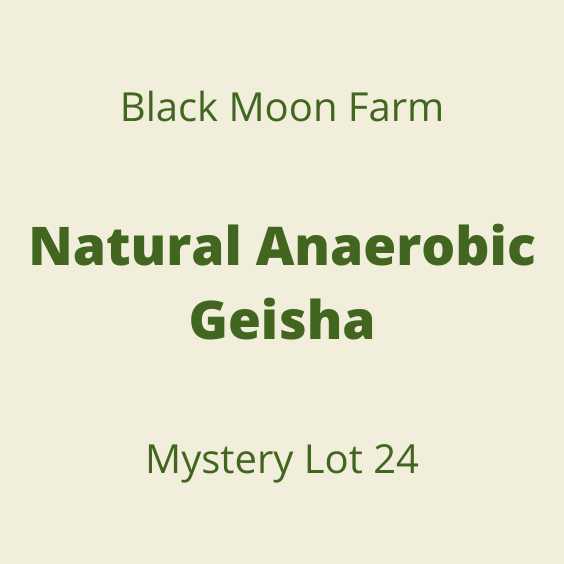 BLACK MOON NATURAL ANAEROBIC GEISHA MYSTERY LOT24
