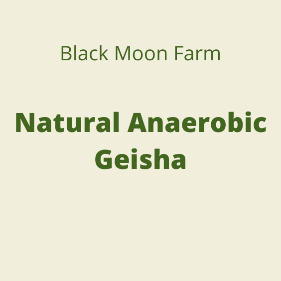 BLACK MOON NATURAL ANAEROBIC GEISHA