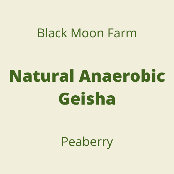 BLACK MOON NATURAL ANAEROBIC GEISHA PEABERRY