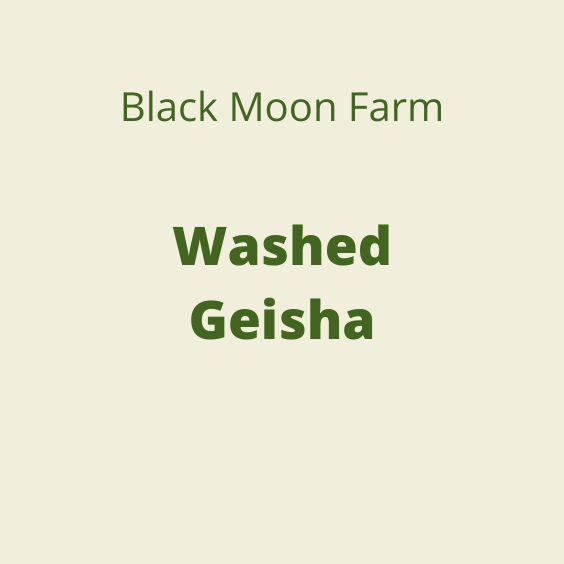 BLACK MOON WASHED GEISHA