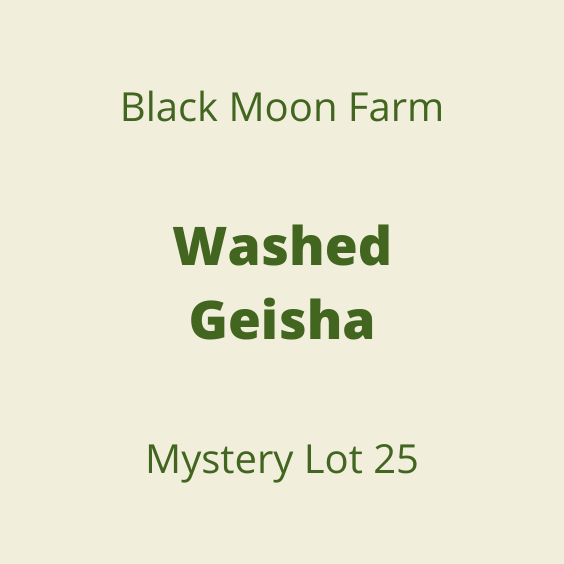BLACK MOON WASHED GEISHA MYSTERY LOT25