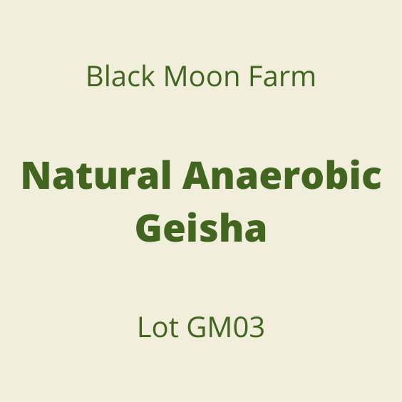 BLACK MOON NATURAL ANAEROBIC GEISHA LOTGM03