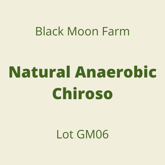 BLACK MOON NATURAL ANAEROBIC CHIROSO LOTGM06