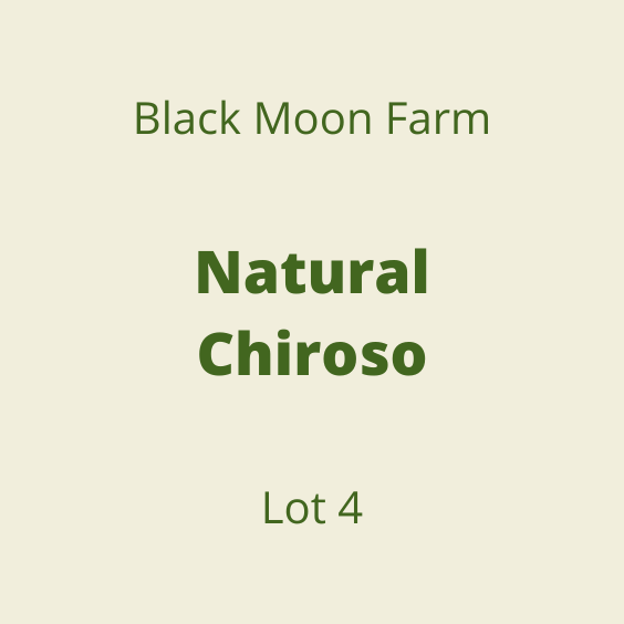 BLACK MOON NATURAL CHIROSO LOT4