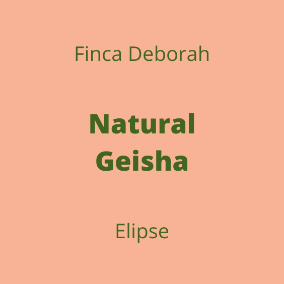 FINCA DEBORAH NATURAL GEISHA ELIPSE