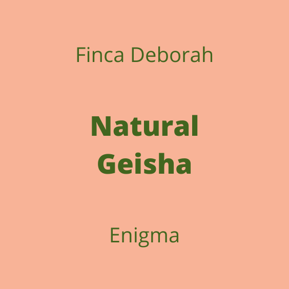 FINCA DEBORAH NATURAL GEISHA ENIGMA