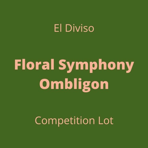 EL DIVISO FLORAL SYMPHONY OMBLIGON