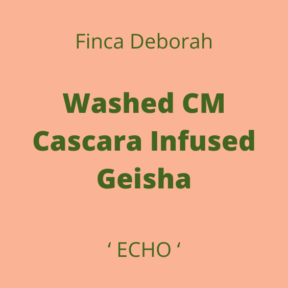 FINCA DEBORAH WASHED CM GEISHA ECHO