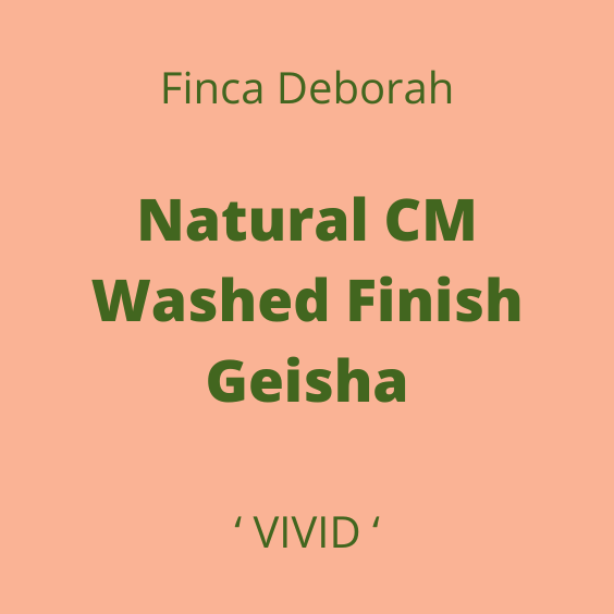 FINCA DEBORAH NATURAL GEISHA VIVID