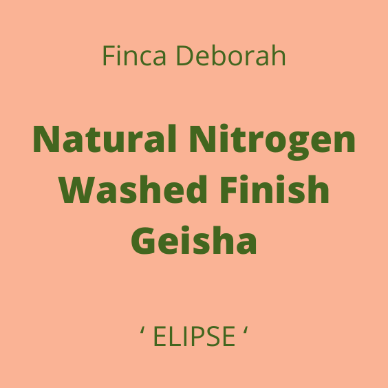 FINCA DEBORAH NATURAL GEISHA ELIPSE