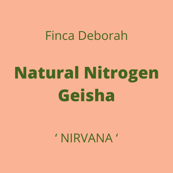 FINCA DEBORAH NATURAL GEISHA NIRVANA