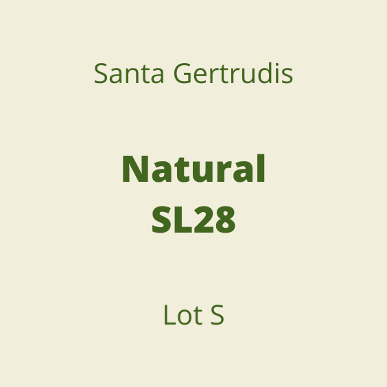 SANTA GERTRUDIS NATURAL SL28 LOT S