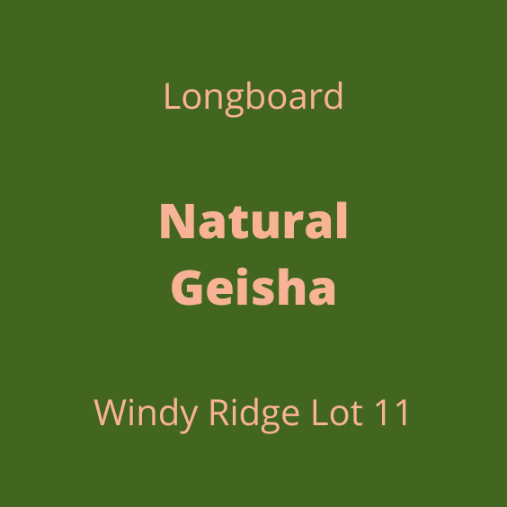 LONGBOARD NATURAL GEISHA WINDY RIDGE LOT11