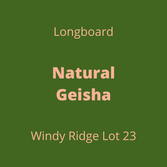LONGBOARD NATURAL GEISHA WINDY RIDGE LOT23
