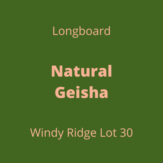 LONGBOARD NATURAL GEISHA WINDY RIDGE LOT30