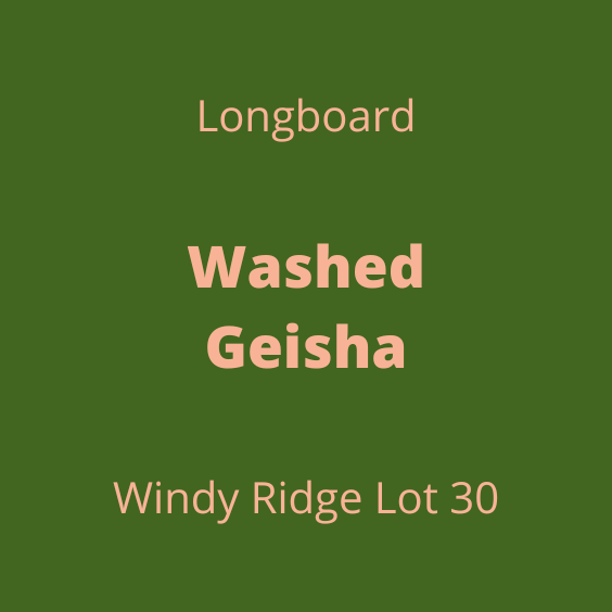 LONGBOARD WASHED GEISHA WINDY RIDGE LOT30