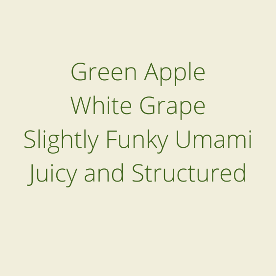 LA JOYA [2022] Forward Specialty Green Coffee Traders